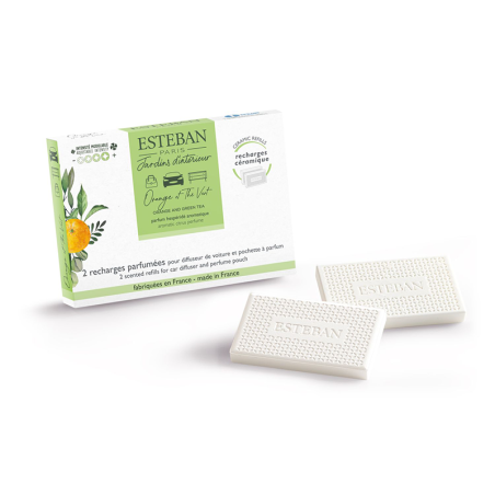 Refills for Scented Car Diffuser - Orange and Green Tea (2x)
