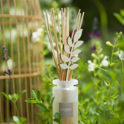 Scented Bouquet 100ml - Pine Tree and Fleur de Sel