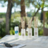 Fragrance Refill for Bouquet 250ml - Pine Tree and Fleur de Sel