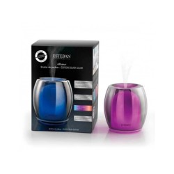 Perfume Mist Diffuser - Silver Color Edition