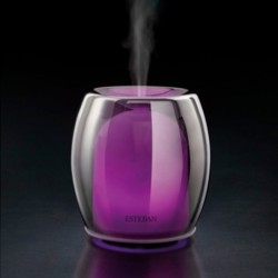 Perfume Mist Diffuser - Silver Color Edition