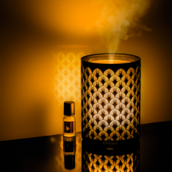 Perfume Mist Diffuser - Black & Light Edition