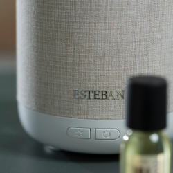 Perfume Mist Diffuser - Easy Living Edition