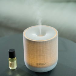 Perfume Mist Diffuser - Easy Living Edition