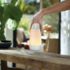 Perfume Mist Diffuser - Little Lantern Edition