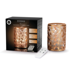 Perfume Mist Diffuser - Light & Copper Edition