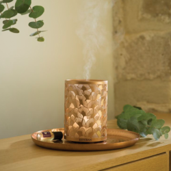 Perfume Mist Diffuser - Light & Copper Edition