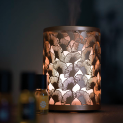 Perfume Mist Diffuser - Light & Copper Edition
