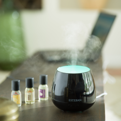 Perfume Mist Diffuser Black - Easy Pop Edition