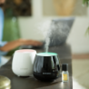 Perfume Mist Diffuser Black - Easy Pop Edition
