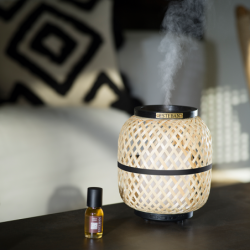 Perfume Mist Diffuser - Light & Bamboo Edition