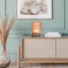 Perfume Mist Diffuser - So Retro Edition