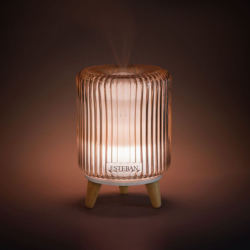 Perfume Mist Diffuser - So Retro Edition