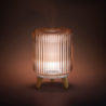 Perfume Mist Diffuser - So Retro Edition