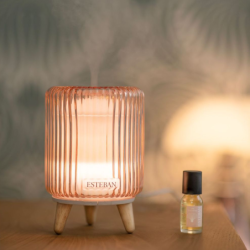 Perfume Mist Diffuser - So Retro Edition