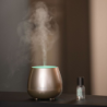 Perfume Mist Diffuser Platinium - Easy Pop Edition