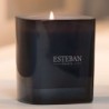 Scented Candle - Amber And Starry Vanilla