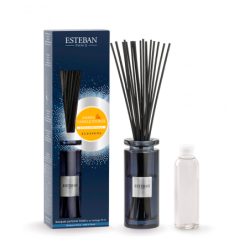 Scented Bouquet and Refill 75ml Amber & Starry Vanilla