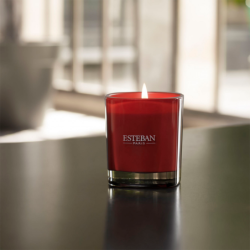 Scented Candle Fig Tree & Tonka - Elessens