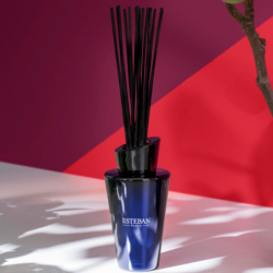 Scented Bouquet and Refill 150ml Fig Tree & Tonka
