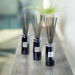 Scented Bouquet and Refill 75ml Fig Tree & Tonka