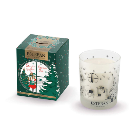 Scented Candle Sapin Exquis