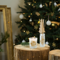 Scented Bouquet and Refill 100ml Exquisite Fir