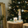 Scented Bouquet and Refill 100ml - Sapin Exquis