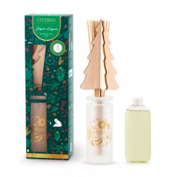 Scented Bouquet and Refill 100ml - Sapin Exquis