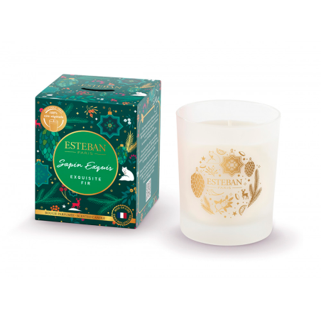 Scented Candle 170gr Sapin Exquis