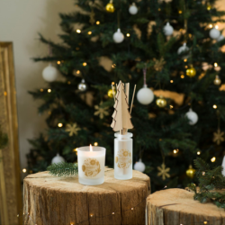 Scented Candle 170gr Sapin Exquis