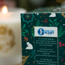 Scented Candle 170gr Sapin Exquis