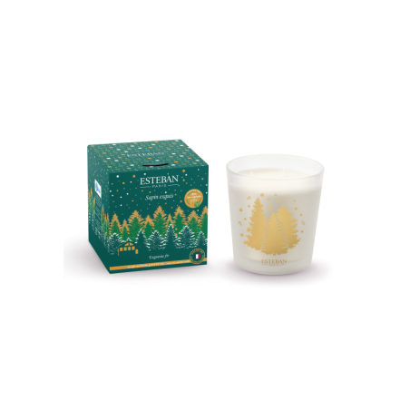 Scented Candle 450gr - Sapin Exquis