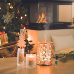Fragrance Refill for Bouquet 250ml - Berries and Winter Flower