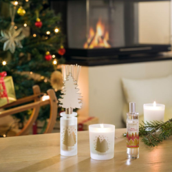 Fragrance Refill for Bouquet 250ml - Berries and Winter Flower