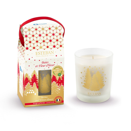 Refillable Scented Candle 180gr - Berries and Winter Flower
