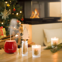 Refresher Oil - Berries and Winter Flower