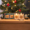 Pack of 2 Scented Candles - Sapin Exquis