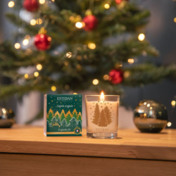 Mini Scented Candle 70gr - Sapin Exquis