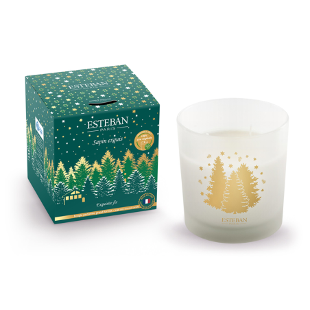 Large Scented Candle 450gr - Sapin Exquis