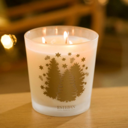 Large Scented Candle 450gr - Sapin Exquis