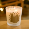 Large Scented Candle 450gr - Sapin Exquis