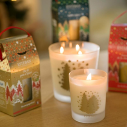 Large Scented Candle 450gr - Sapin Exquis