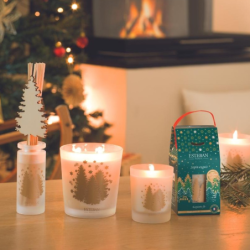Large Scented Candle 450gr - Sapin Exquis