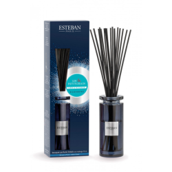 Scented Bouquet and Refill 75ml Linen & Petitgrain