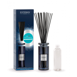 Scented Bouquet and Refill 75ml Linen & Petitgrain