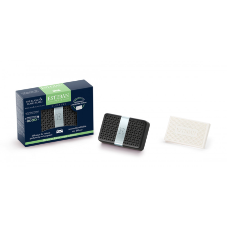 Scented Car Diffuser and Refill - White Tea & Ylang Ylang