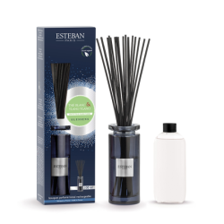 Scented Bouquet Initial 100ml - White Tea & Ylang-Ylang