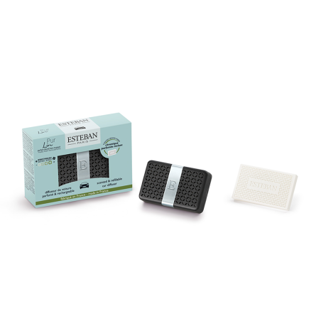 Scented Car Diffuser - Pur Lin