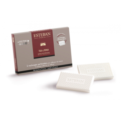 Scented Refill for Car Diffuser 2x - Teck et Tonka